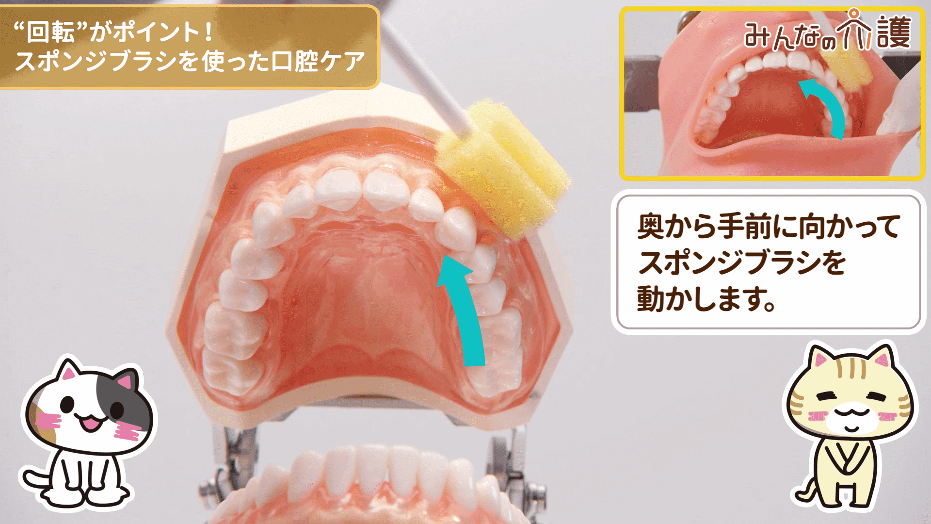 上の歯ぐきを清掃するイメージ
